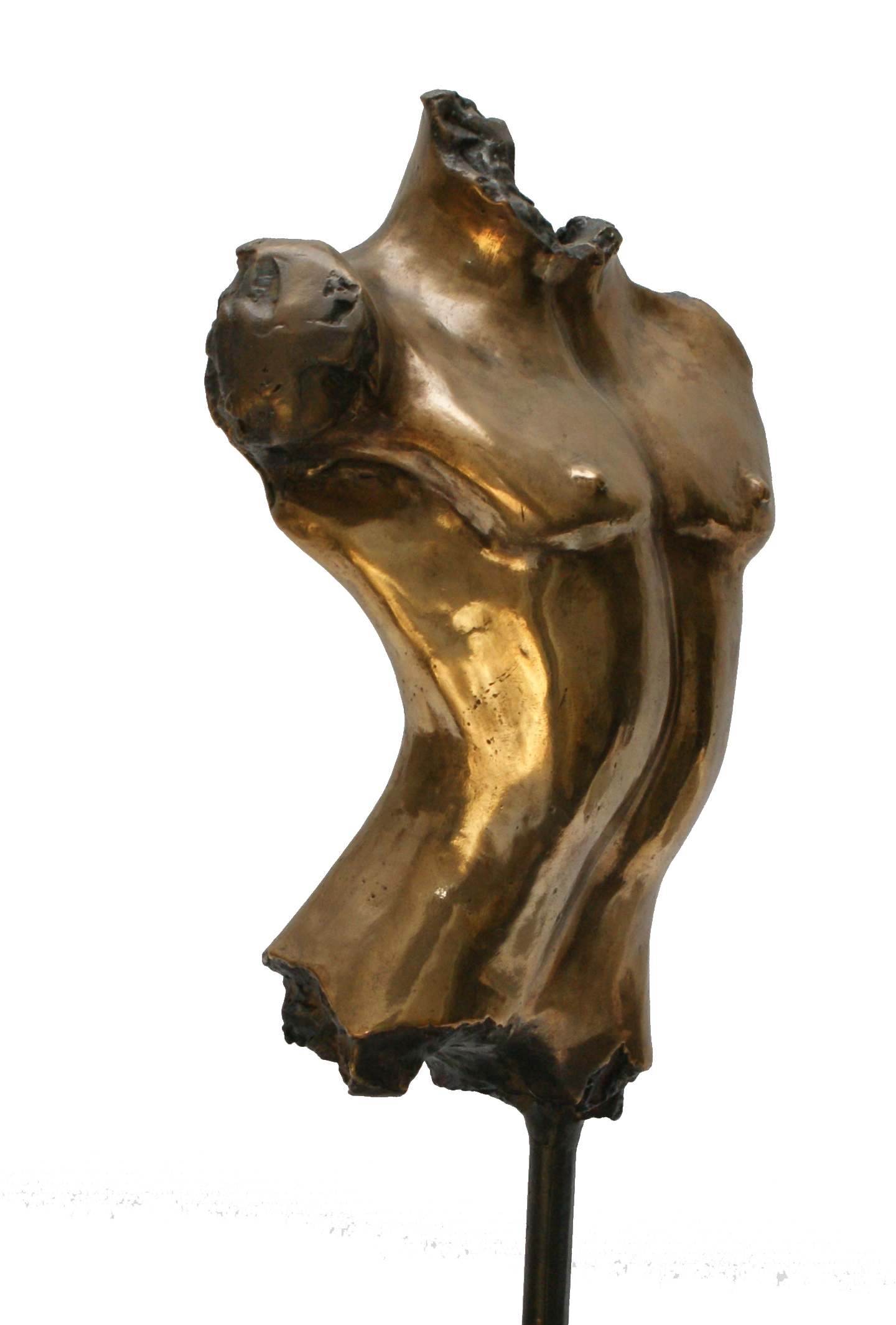 Ongeautoriseerd In Vernederen Sculptures Bronze - Bronzen Beelden